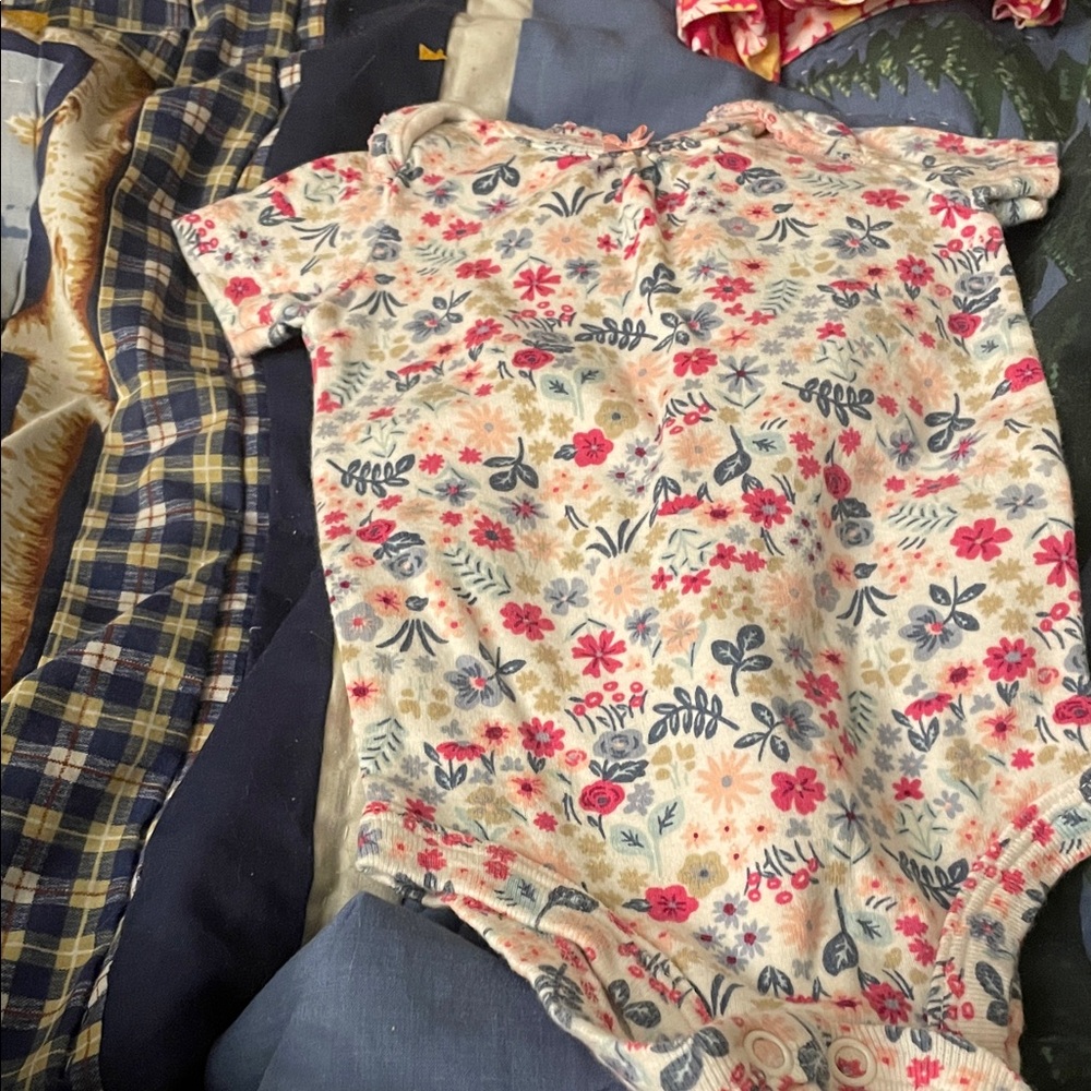 Carter's Floral Bodysuit - Pink and Blue